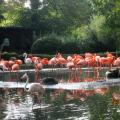  - Ein schöner Tag im Zoo 