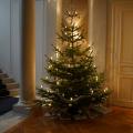  - ...und gleich weiter mit Rückblick in 2024: Weihnachten 2024 und Gicon
